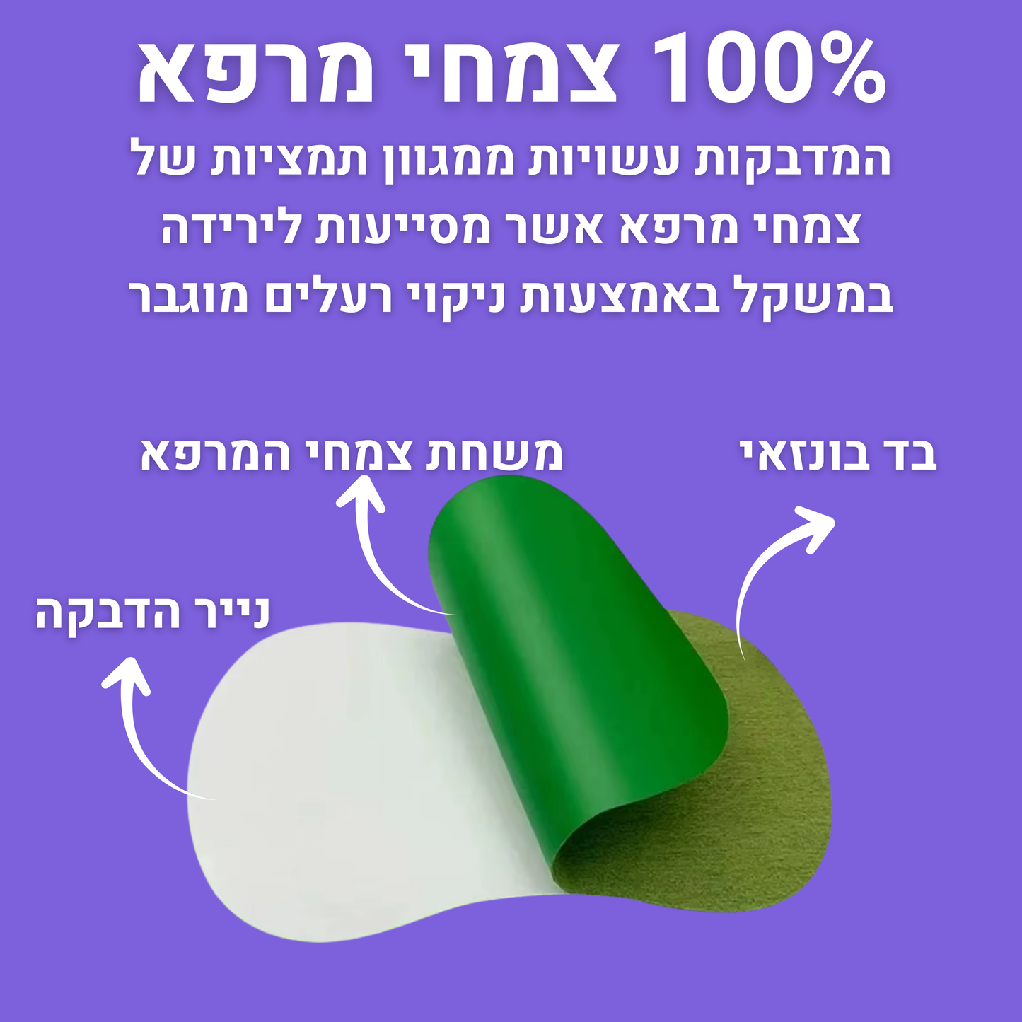 מדבקות רגליים לניקוי רעלים